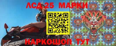 стафф Гатчина