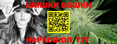 стафф Гатчина