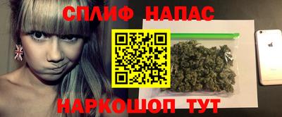 стафф Гатчина