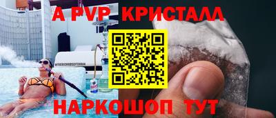 стафф Гатчина