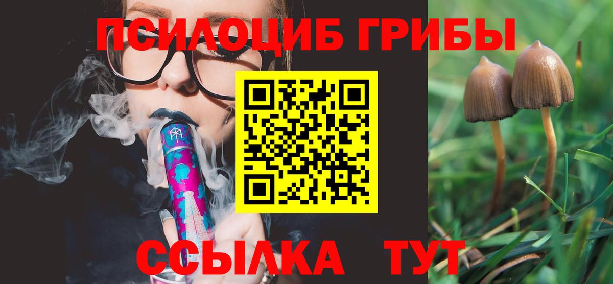 Заречный  Галлюциногенные грибы прущие грибы  Вход с VPN 