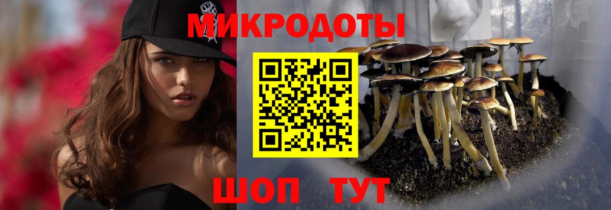 Галлюциногенные грибы MAGIC MUSHROOMS Заречный